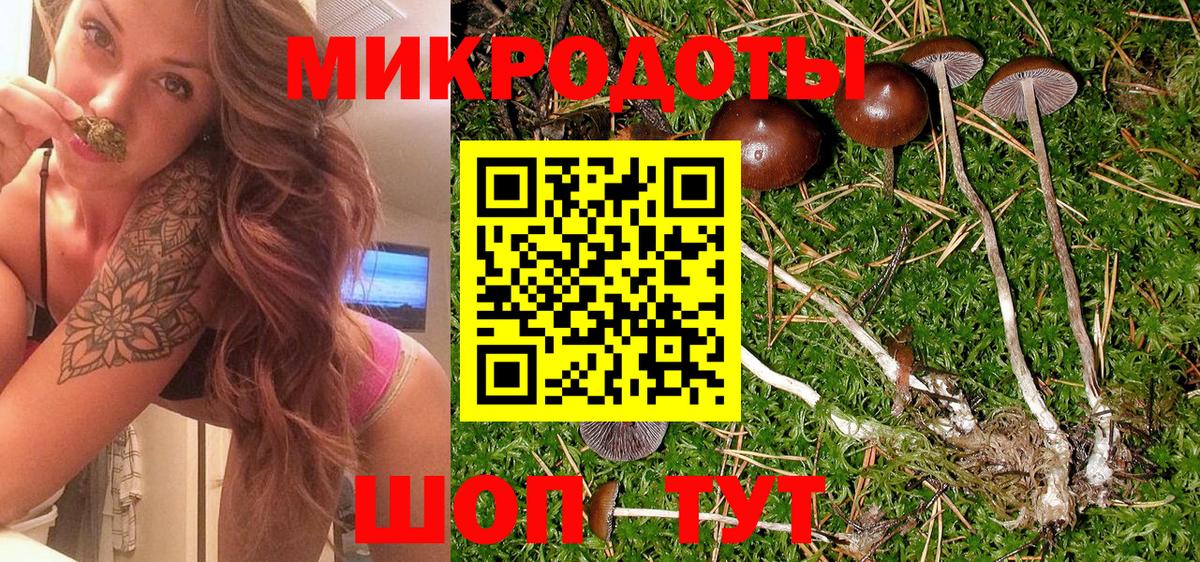Туймазы  Псилоцибиновые грибы Cubensis  Галлюциногенные грибы GOLDEN TEACHER  Вход с VPN 